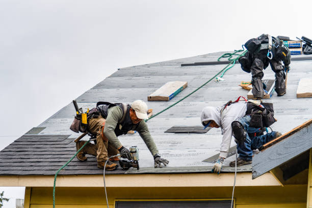 Professional Roof Replacement technician working in Danese, WV
